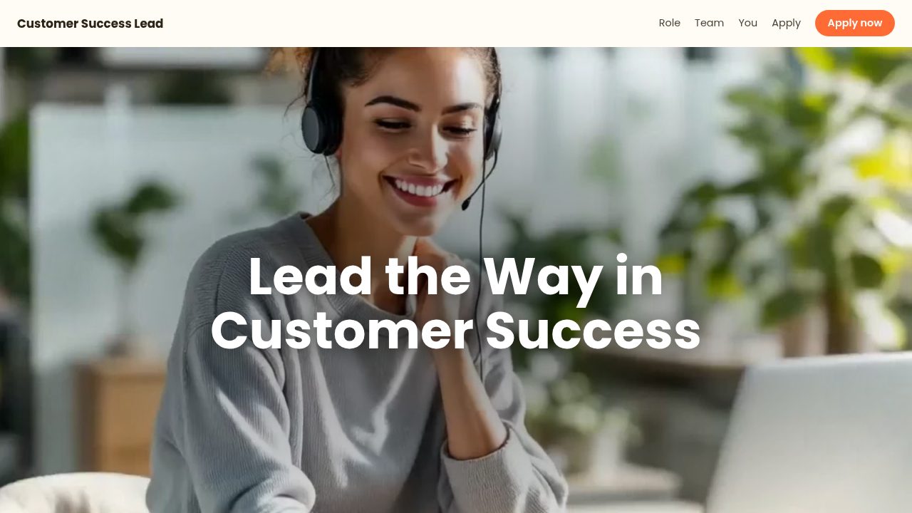 Customer Success Lead Role template