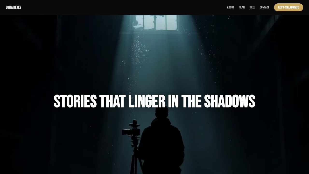 Filmmaker Portfolio template